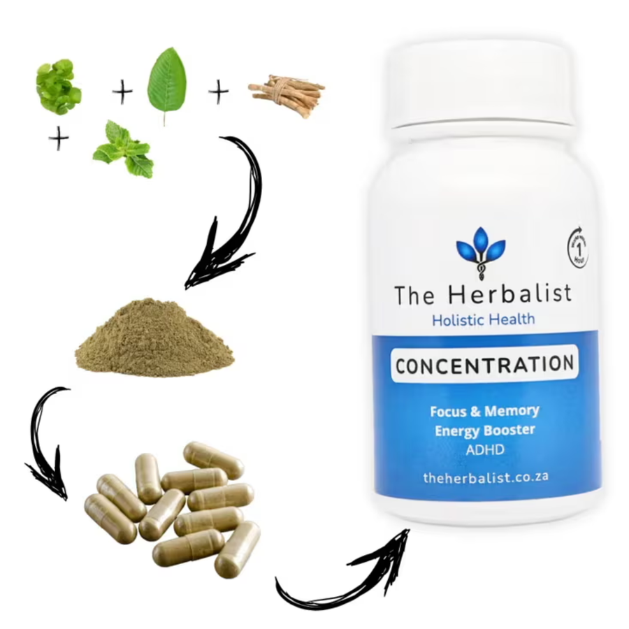 Concentration - The Herbalist - Nature-powered focus - 60 Caps