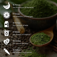 Moringa - The Herbalist - The Power of Pure Green - 60 Caps