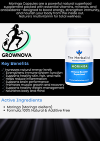 Moringa - The Herbalist - The Power of Pure Green - 60 Caps