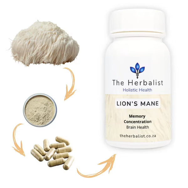 Lion's Mane - The Herbalist - Mental Power, Naturally - 60 Caps
