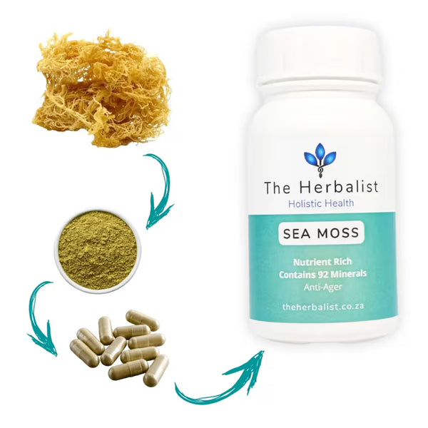 Sea Moss - The Herbalist - Minerals for Life - 60 Caps