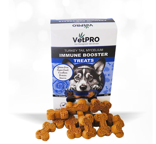 Mycelium Immune Boost for Dogs - Vetpro - Biscuits